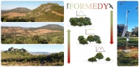 La Universidad de Córdoba lidera un proyecto donde se utilizan imágenes satelitales para conservar los bosques mediterráneos andaluces