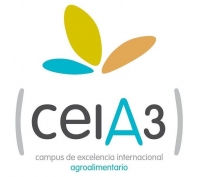 Retransmisin de la presentacin de los proyectos CEI en Madrid