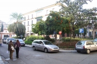 Plaza Ramn y Cajal de Crdoba