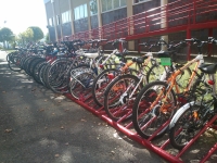 Numerosas bicis aparcadas en la Facultad de Ciencias de la Educación. En primer término, bicicletas de “A la UCO en Bici”.