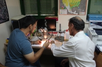 Investigadores del grupo de Ecología, analizando una muestra de mosquito Tigre.
