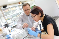El investigador de la Departamento de Química Inorgánica e Ingeniería Química de la Universidad de Córdoba Gregorio Ortiz ayuda a Bai Xue, de la Universidad de Ciencia y Tecnología de Pekín, durante una práctica