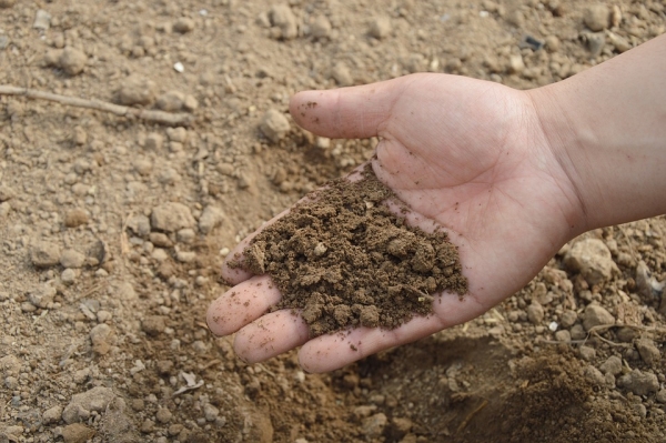 A US Soil Depth Study Reveals How Climate and Human Use Affect Erosion