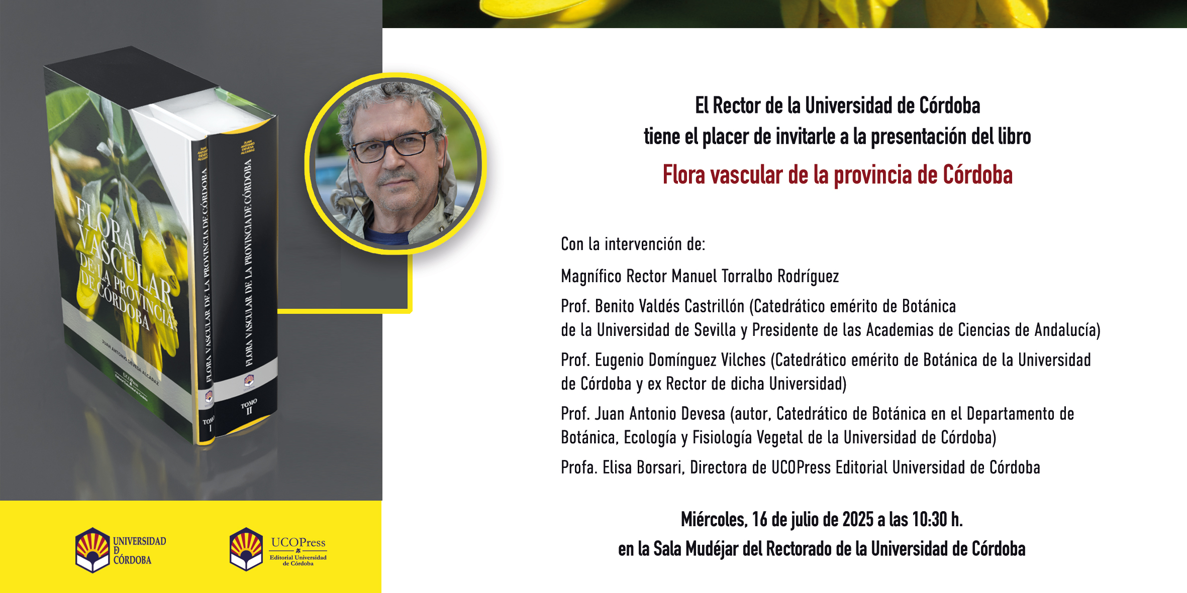 Texto alternativo