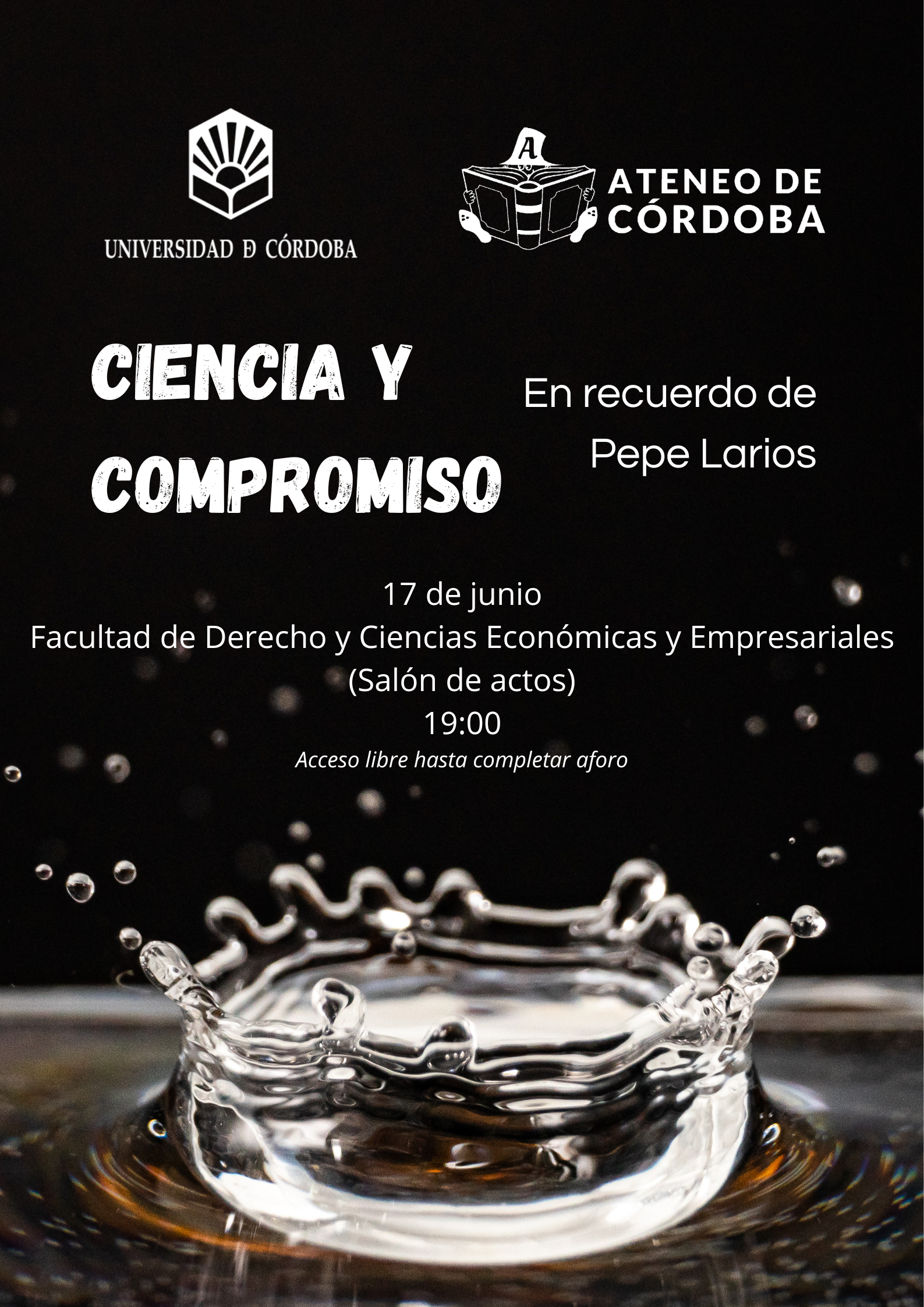 Texto alternativo