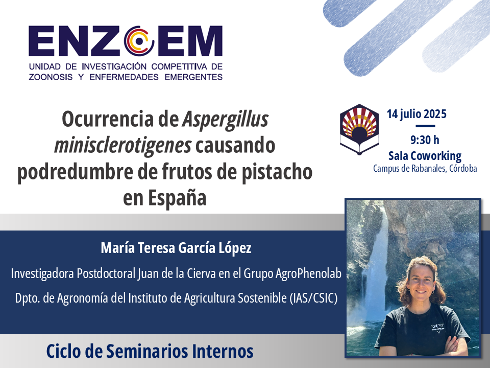Texto alternativo