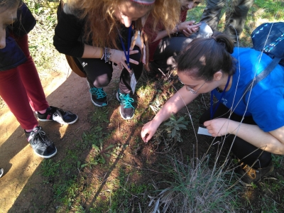 Estudiantes participantes en el Programa de Voluntariado Ambiental de la UCO