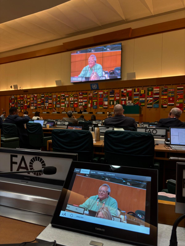 J.V. Delgado en su intervención en la FAO.