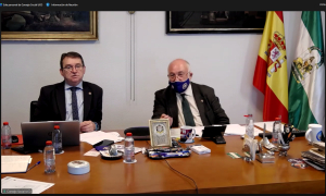 Pleno ordinario del Consejo Social celebrado hoy de manera telemática.