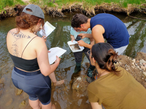 Voluntarios realizando el diagnóstico ambiental.