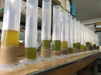 Imagen don diferentes muestras de aceite de oliva.