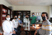 Investigadores del grupo de Anatomía Patológica Animal de la Universidad de Córdoba, en el laboratorio.