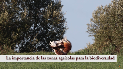 Una imagen del documental