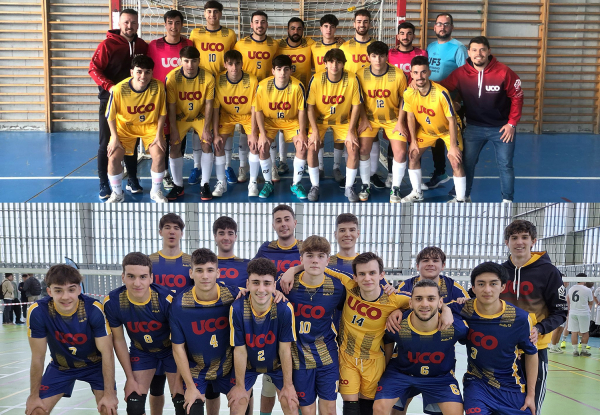 Imagen de las dos selecciones UCO en el triangular celebrado ayer en Sevilla. Arriba, de amarillo, la de fútbol sala, de azul, abajo, la de voleibol. 