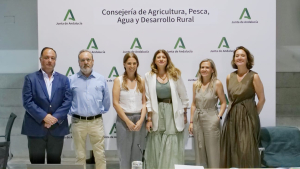 Participantes en la sesión final de Innofino.