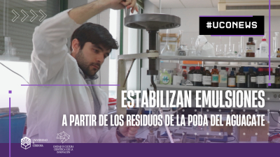 Una investigación logra aprovechar los desechos del aguacate para unir líquidos, en un nuevo trabajo enmarcado en el campo de la economía circular que podría tener aplicaciones en diversas industrias como la cosmética o alimentaria