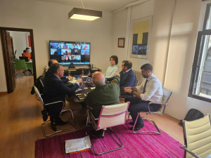 Pleno extraordinario del Consejo Social celebrado hoy por vía telemática y presencial