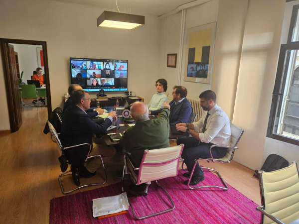 Pleno extraordinario del Consejo Social celebrado hoy por vía telemática y presencial