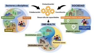 Diagrama del Modelo One Health (Fuente OMS)