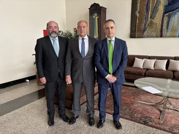 Los profesores Torres y Palma junto al presidente del Tribunal de Justicia del Estado de Río de Janeiro, Ricardo Couto de Castro (en el centro)