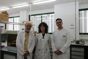 Parte del equipo investigador. De izquierda a derecha, José Ramos, Helena Chacón y Francisco Ruiz