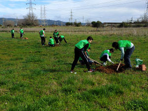 Voluntarios en plena faena.